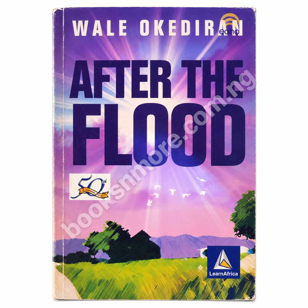 After the Flood