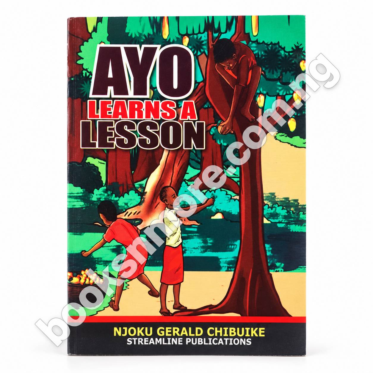 Ayo Learns a Lesson